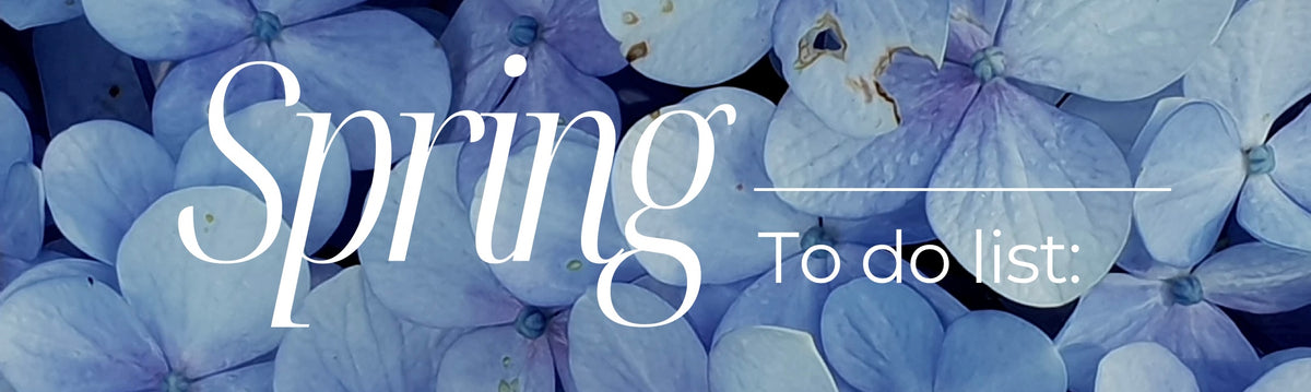 Tide and Seek sustainable swimwear blog post about getting your ‘spring’ back - section image of blue flowers with white text on top saying ‘Spring to do list’.