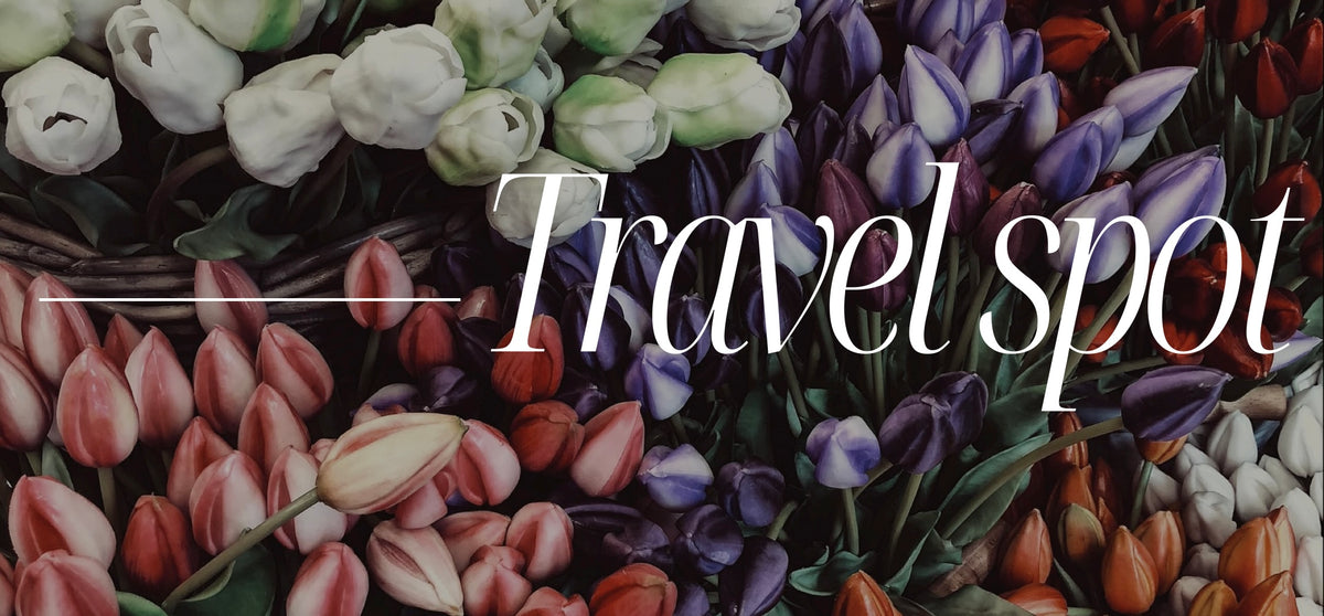 Tide + Seek sustainable swimwear blog post travel spots for spring time